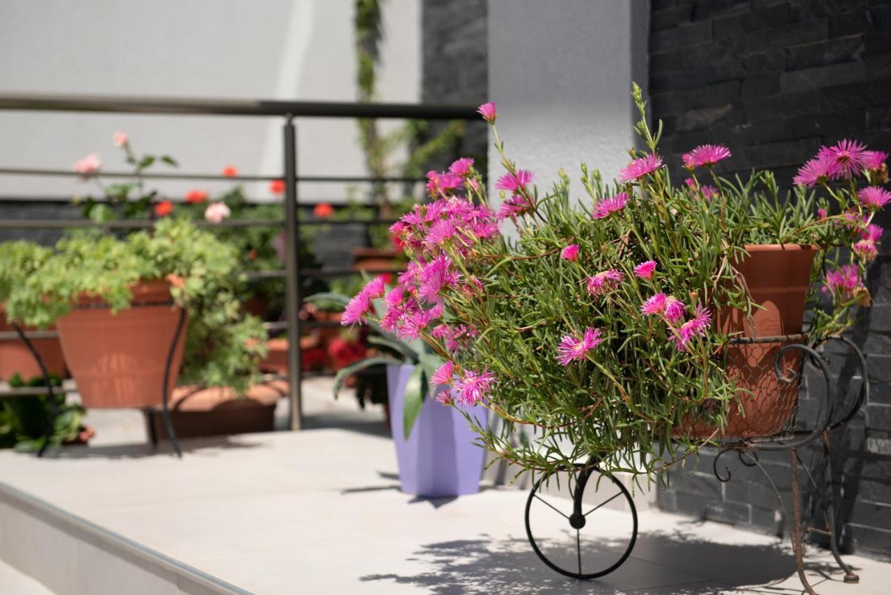 Almare Seaside Studios & Suites - Sarti Sithonia Luaran gambar